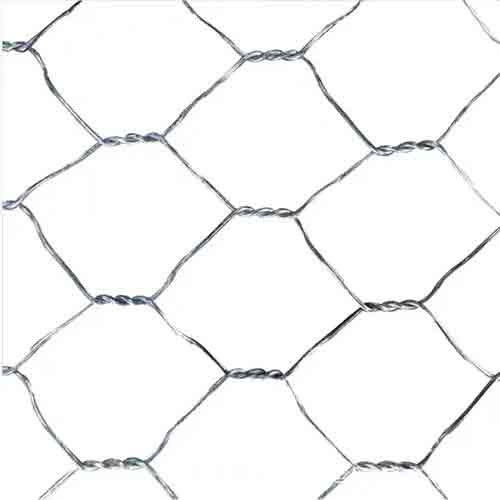 Galvanized Hexagonal chicken wire mesh netting for animal fence