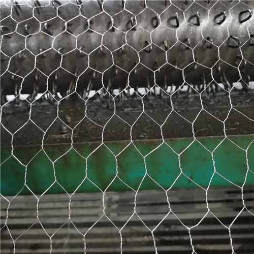 Galvanized Chicken Wire Barbed Wire Fence Mesh Hexagonal Wire Mesh Factory Direct Sale with Competitive Price