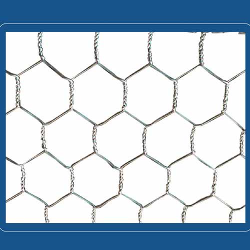 factory direct price galvanization Rust prevention Protect Breeding hexagonal wire mesh