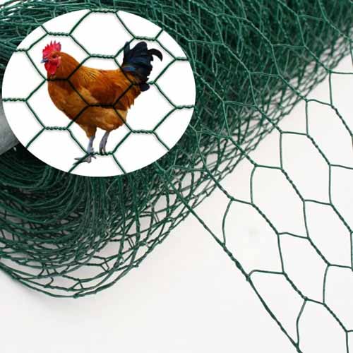 Galvanized Hexagonal Wire Netting/Hexagonal Wire Mesh/Chicken Wire