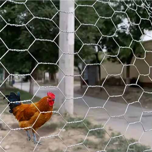 High Tensile Strength Hexagonal Wire Mesh Chicken Netting Rabbit Netting