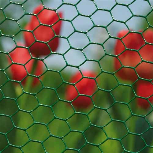 Galvanized Steel Chicken Netting Fence Triple Twist PVC Coated Hexagonal Wire Mesh