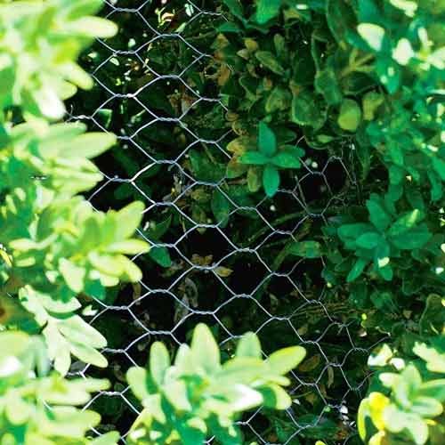 Wire /12 Inch Hexagonal Wire Mesh For Roosters Animal Cages Made In China