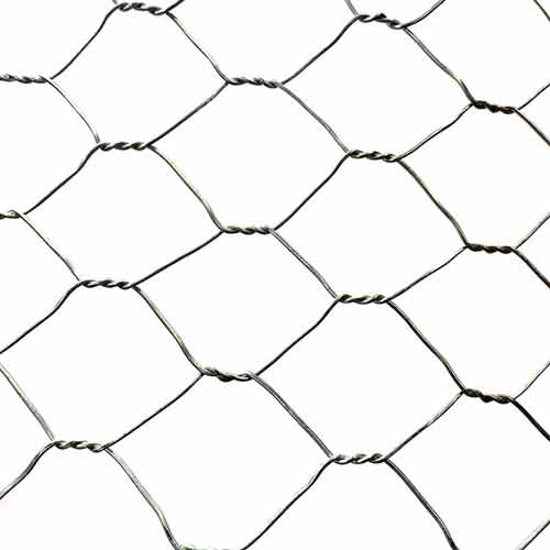 Cost Effective Gi Chicken Wire Easy DIY for Poultry/Decoration/Fencing