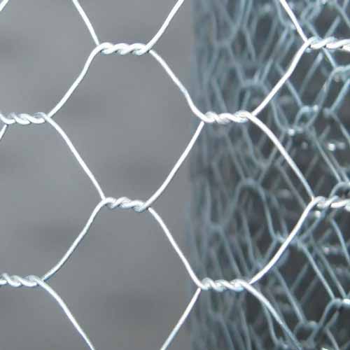 PVC Coated Chicken Wire Mesh 50m Manufacturing China 50mm Mesh Hot Dipped Galvanized Hexagon Mesh