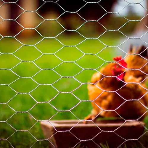 Chicken Wire Poultry Wire Netting Hexagonal Galvanized Mesh Garden Fence Barrier