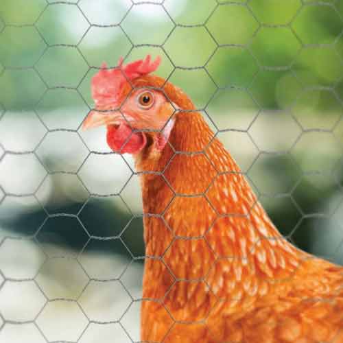 Chicken Wire Mesh Installation Tools: Essential Equipment for Wire Mesh Projects